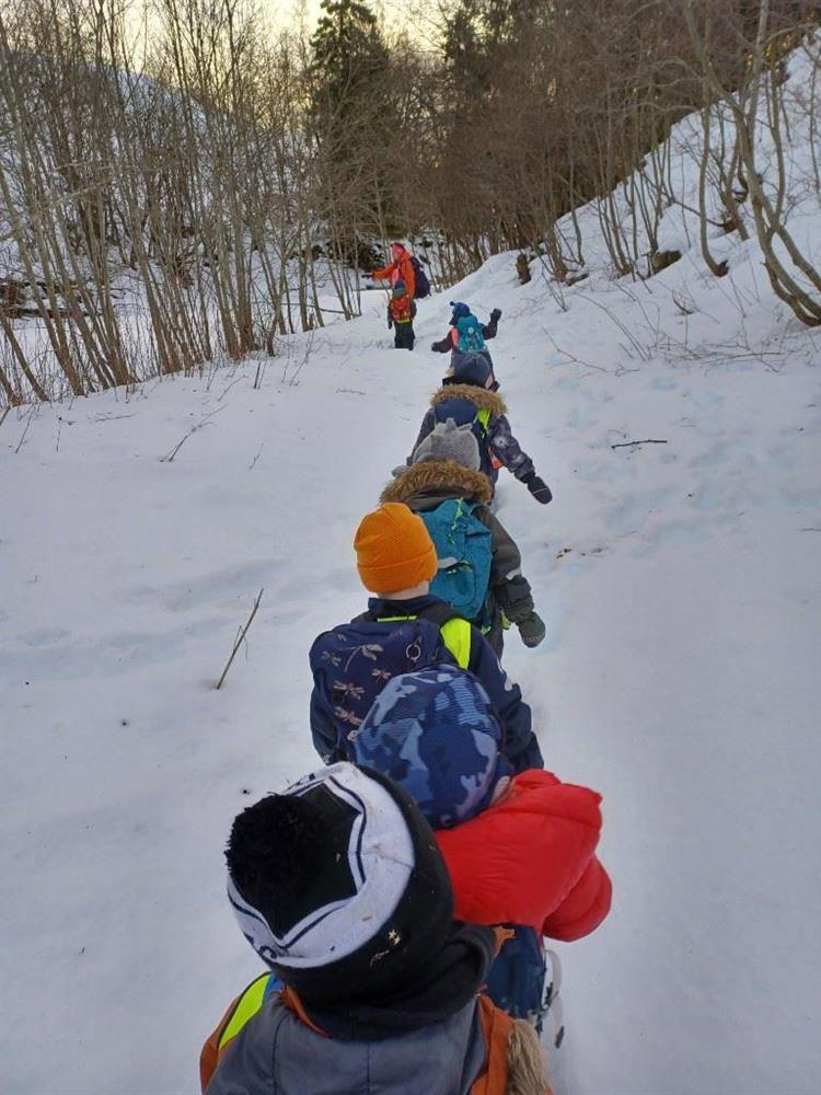 Barn går på tur i skogen på rekke og rad - Klikk for stort bilde