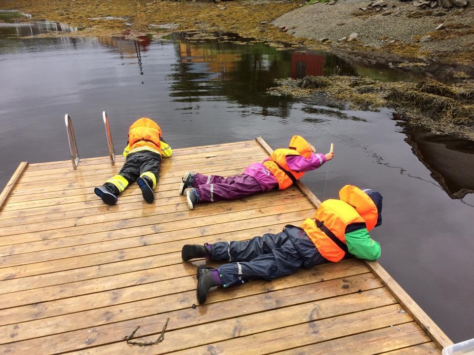 tre barn ligger på ei brygge med redningsvest på og fisker etter krabber.  - Klikk for stort bilde